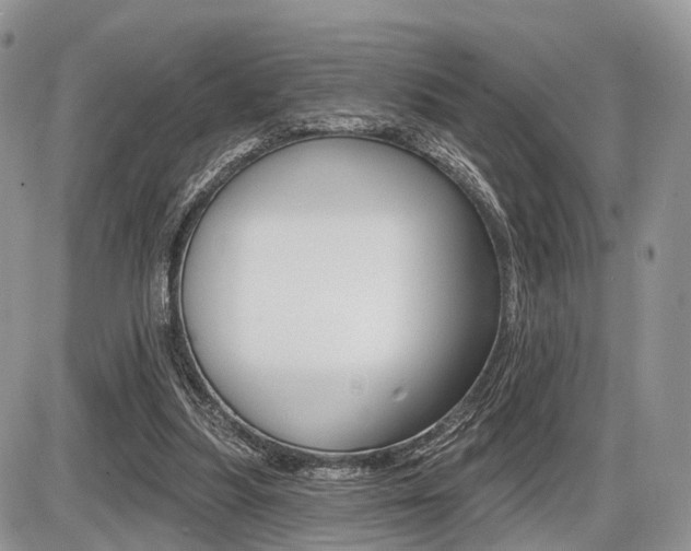 X0000087410251200704201028