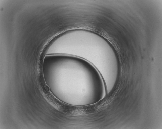 X0000087410252200704201028