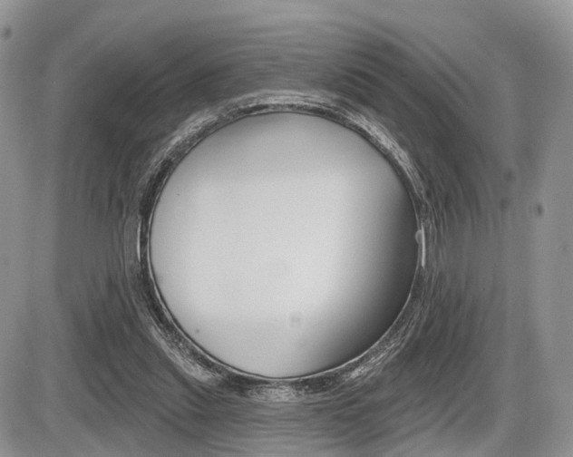 X0000087410253200704201028