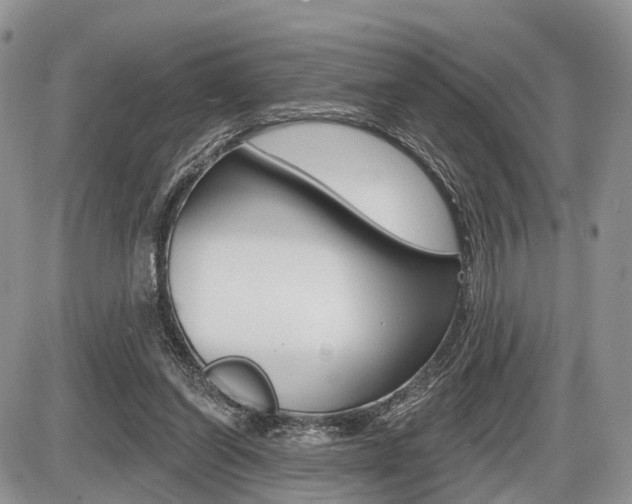 X0000087410254200704201028