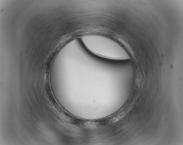 X0000087410261200704201028