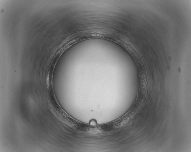 X0000087410262200704201028