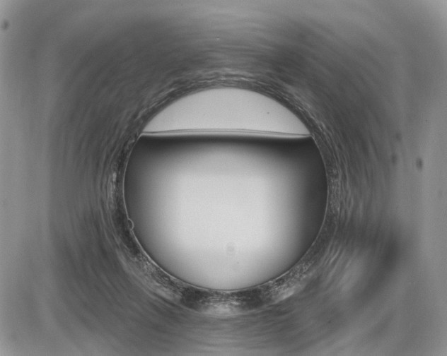 X0000087410263200704201028