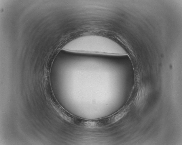 X0000087410265200704201028