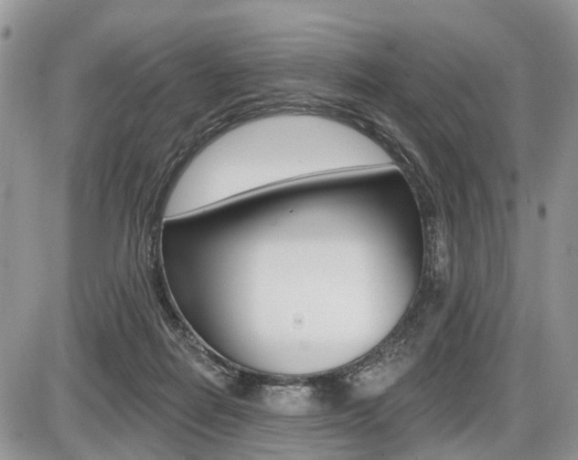 X0000087410266200704201028