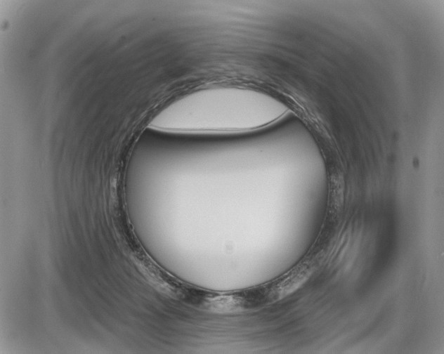 X0000087410269200704201028