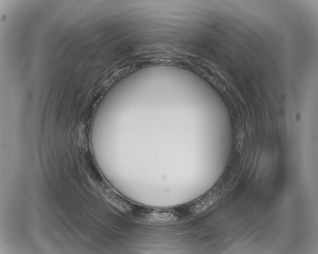 X0000087410270200704201028