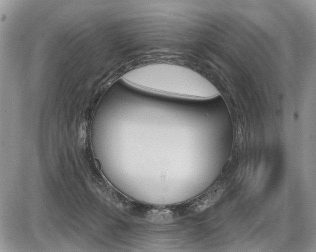 X0000087410271200704201028