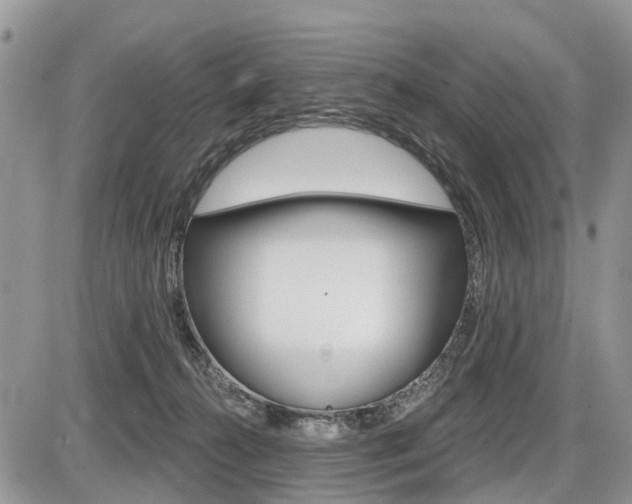 X0000087410272200704201028