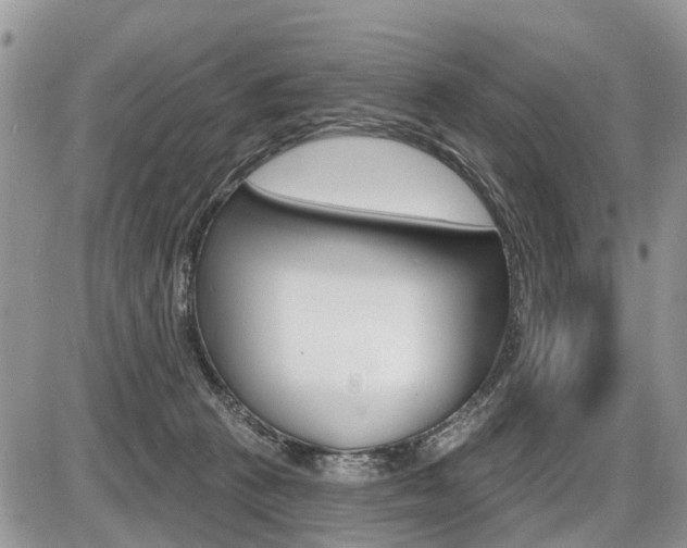 X0000087410273200704201028
