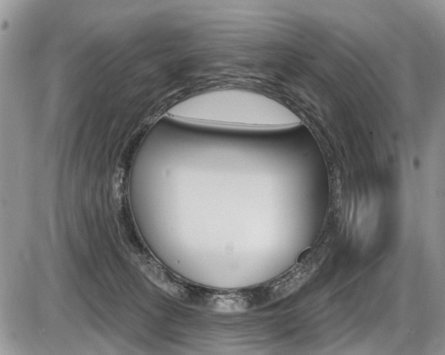 X0000087410275200704201028