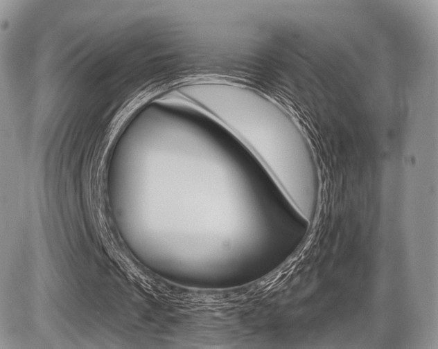 X0000087410289200704201027