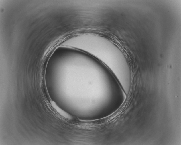 X0000087410293200704201027