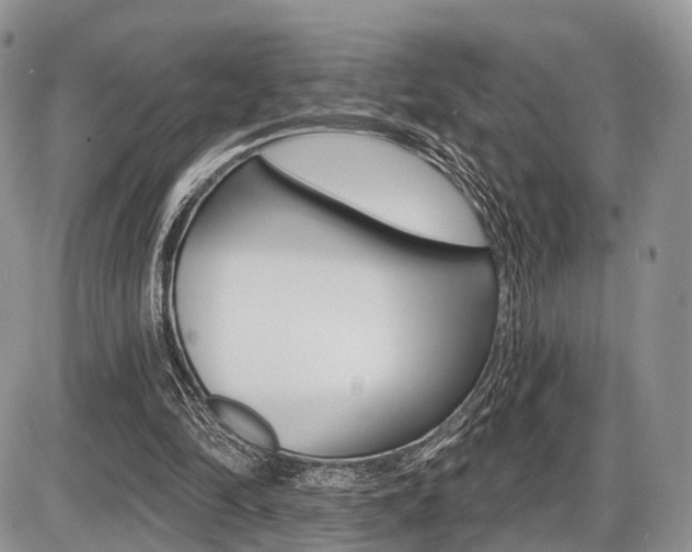 X0000087410294200704201027
