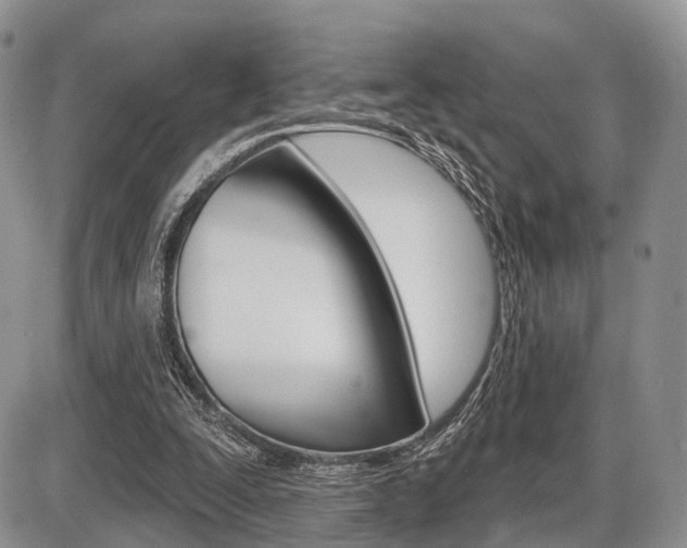 X0000087410295200704201027