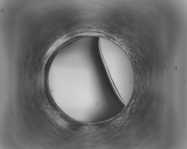 X0000087410296200704201027