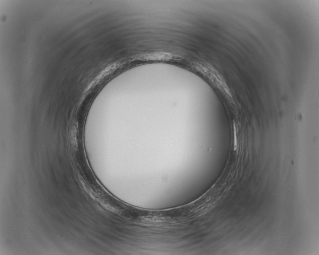 X0000087410300200704201027