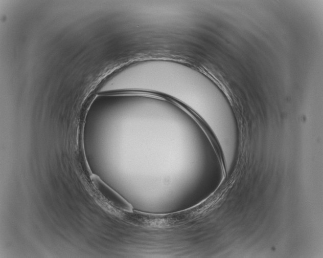 X0000087410301200704201027