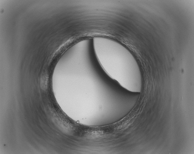 X0000087410304200704201027
