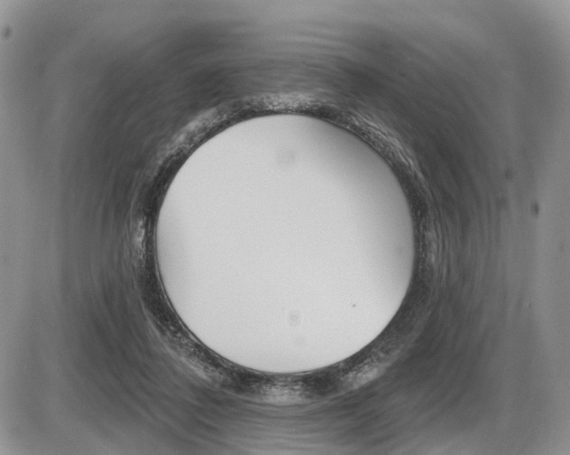 X0000087410308200704201027
