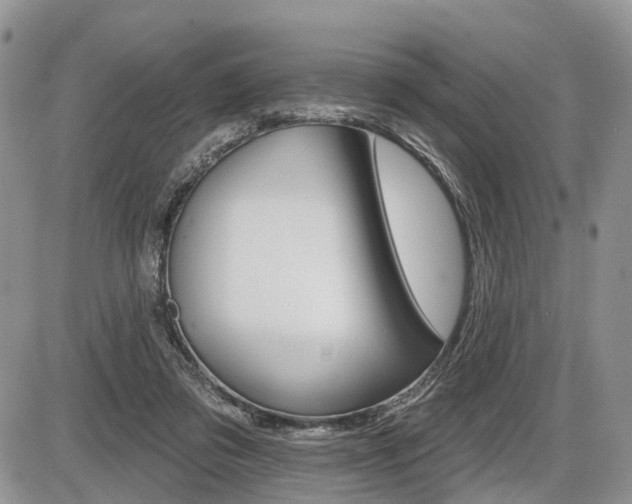 X0000087410309200704201027