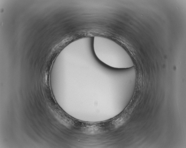 X0000087410310200704201027