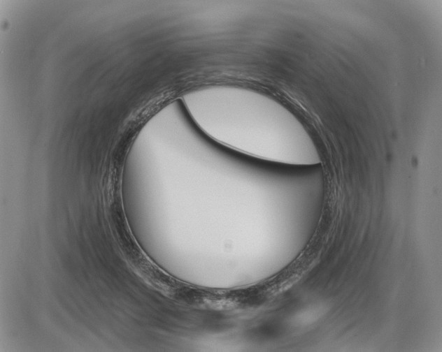 X0000087410311200704201027