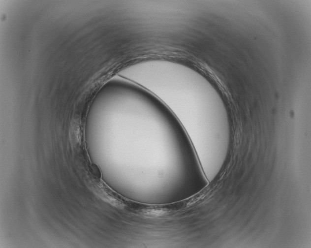 X0000087410313200704201027