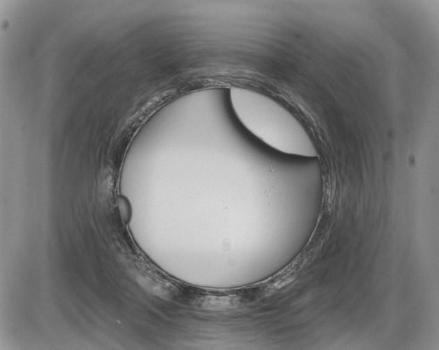 X0000087410314200704201027