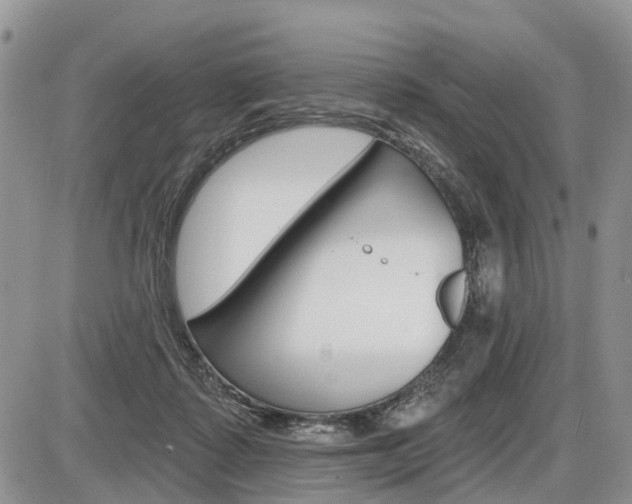 X0000087410315200704201027
