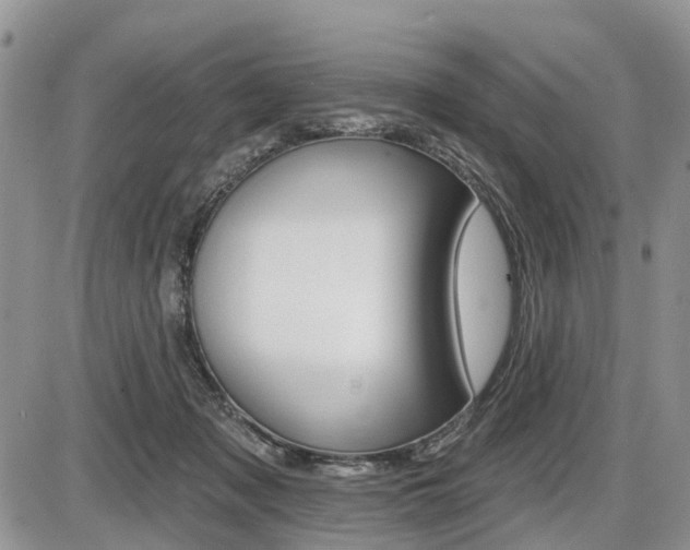 X0000087410317200704201027