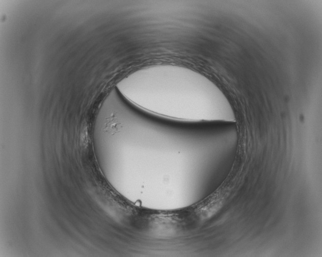 X0000087410320200704201027