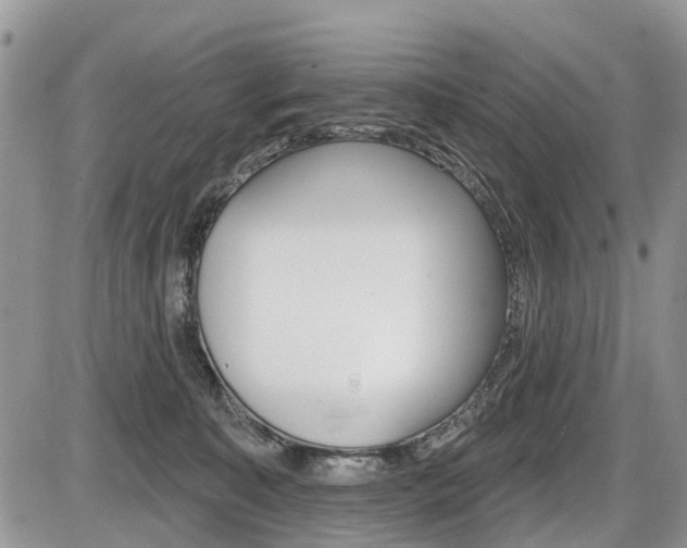 X0000087410323200704201027