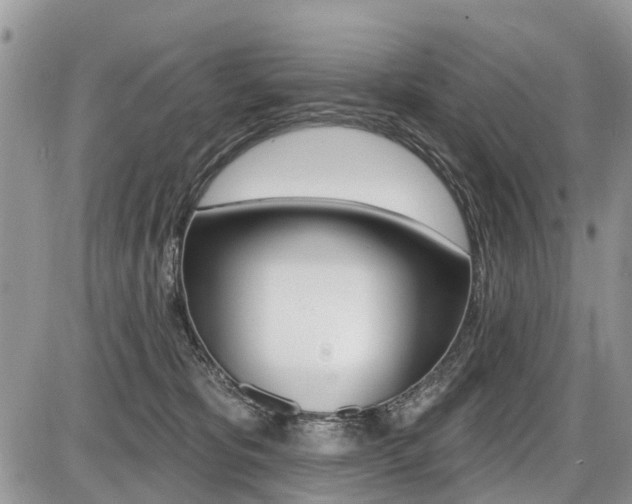X0000087410325200704201027