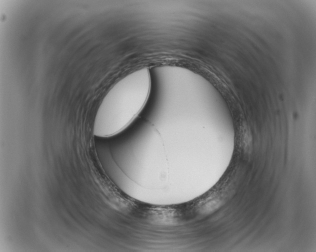 X0000087410328200704201027