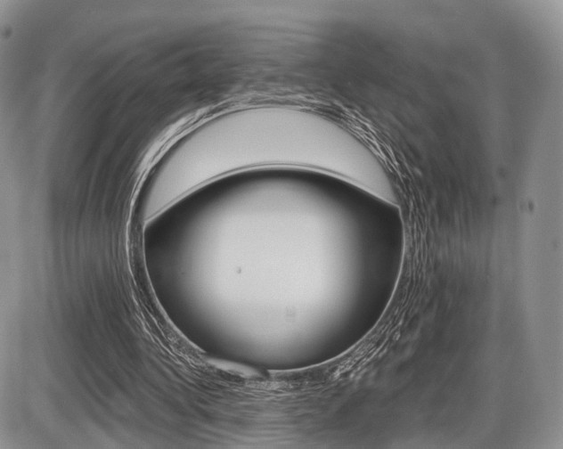 X0000087410340200704201026