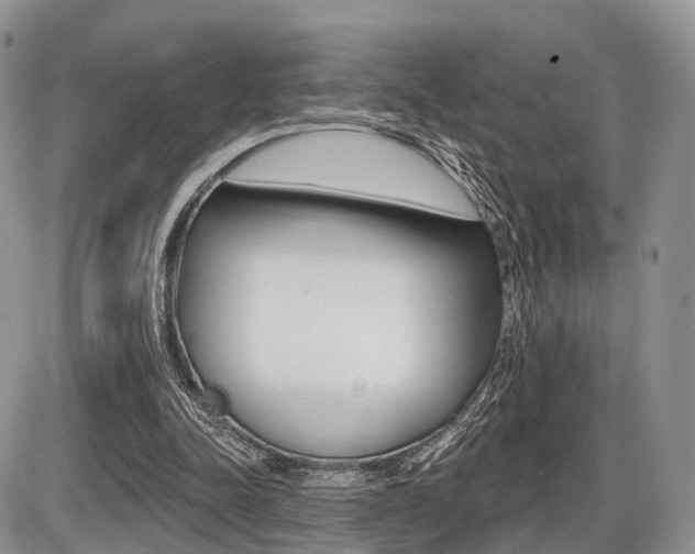 X0000087410342200704201026
