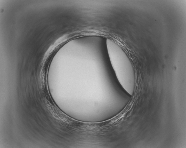 X0000087410343200704201026