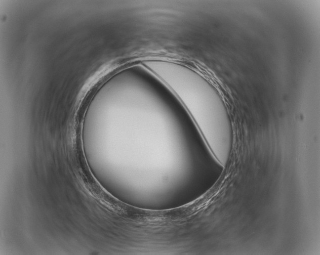 X0000087410344200704201026