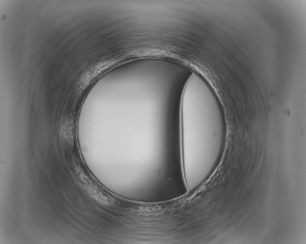 X0000087410345200704201026