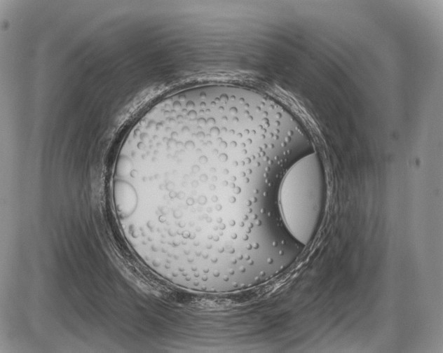 X0000087410346200704201026