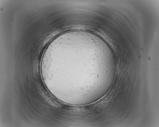 X0000087410347200704201026
