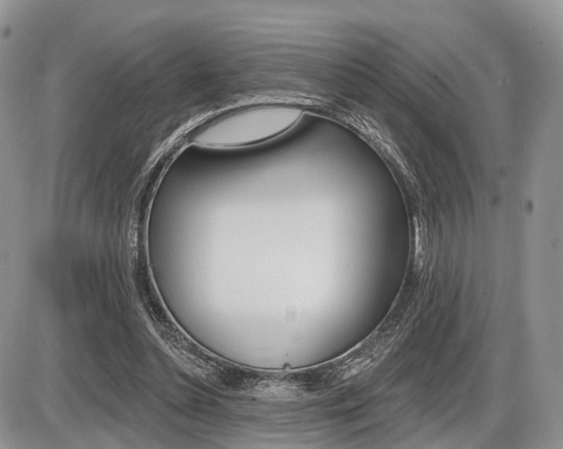 X0000087410348200704201026