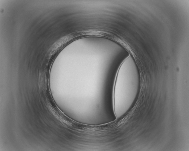 X0000087410349200704201026