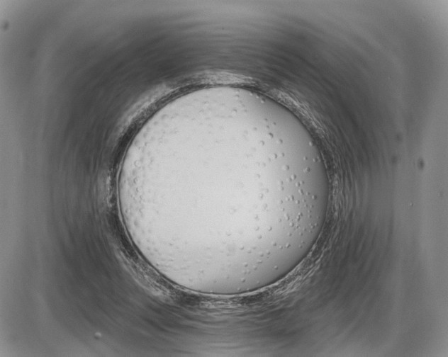 X0000087410351200704201026