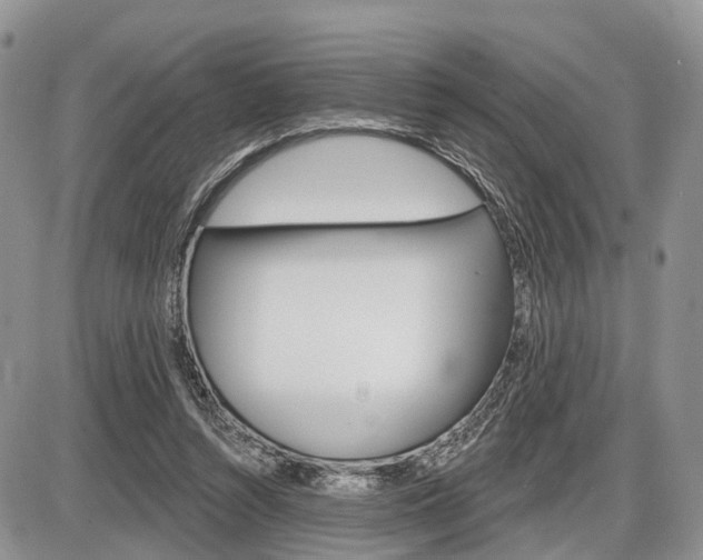 X0000087410352200704201026