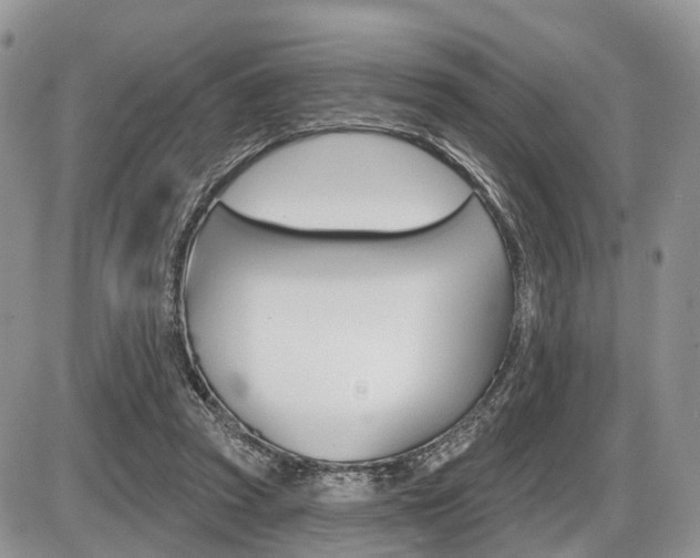X0000087410353200704201026