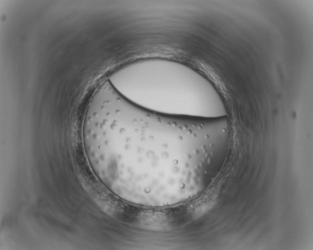 X0000087410354200704201026