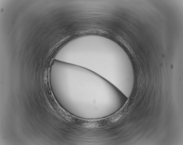 X0000087410356200704201026