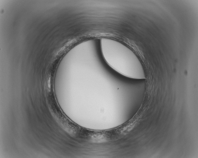 X0000087410358200704201026